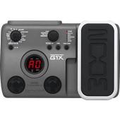 G1X 