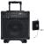 Pyle PPGW1040 400-Watt UHF Battery Powered Guitar Amplifier 
