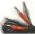 Hosa CPP 202 - Audio cable   from Hosa Technology in Cables  