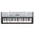 Casio LK220 61 Key Personal Keyboard 