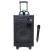 PYLE PRO PWMA1080I Wireless PA Systems