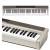 Casio PX120 88-Key Keyboard Digital Audio Keyboard