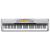 Casio PX575R 88 Key Personal Keyboard 